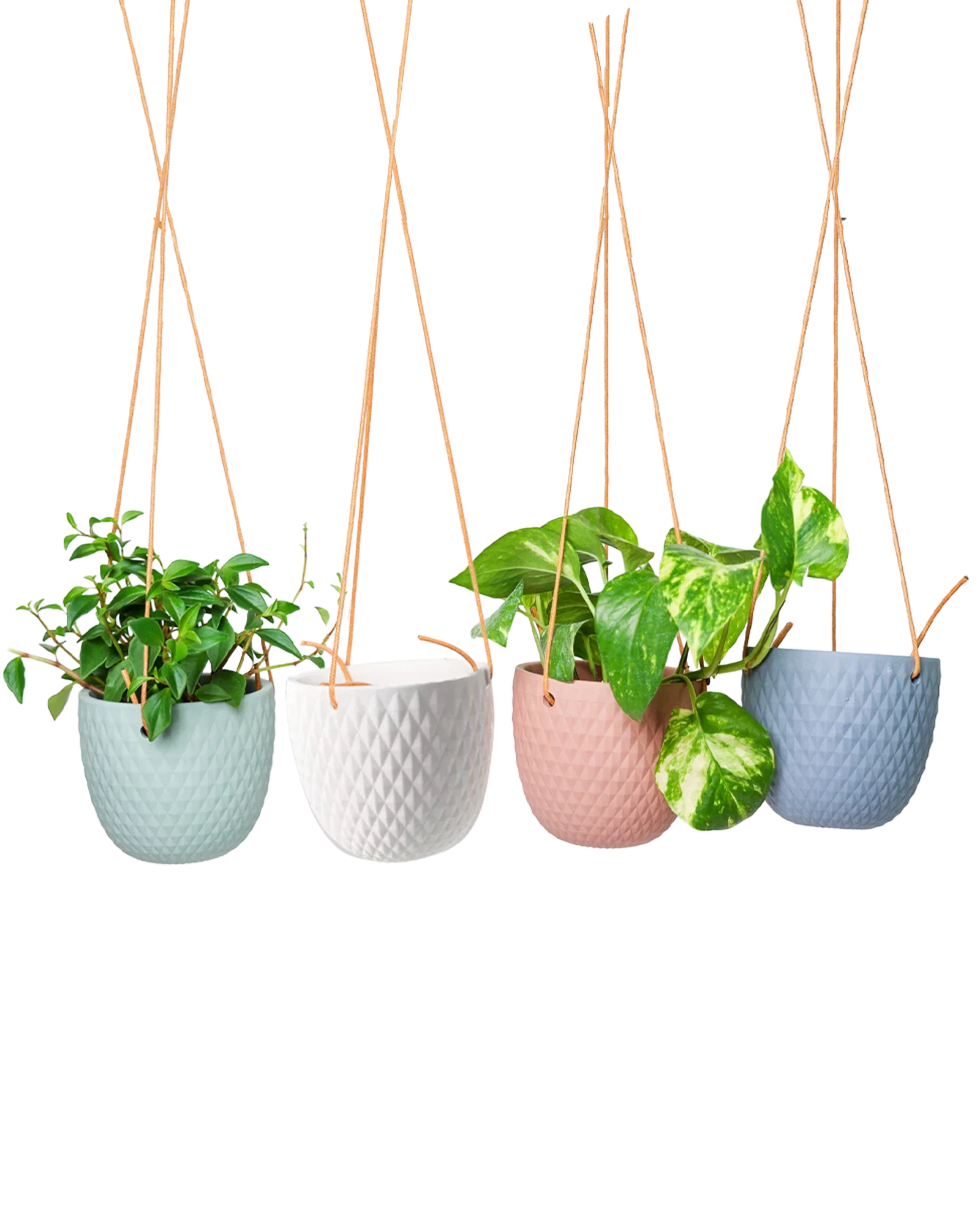 Virago Ceramic Modern Hanging Planter - Image 3