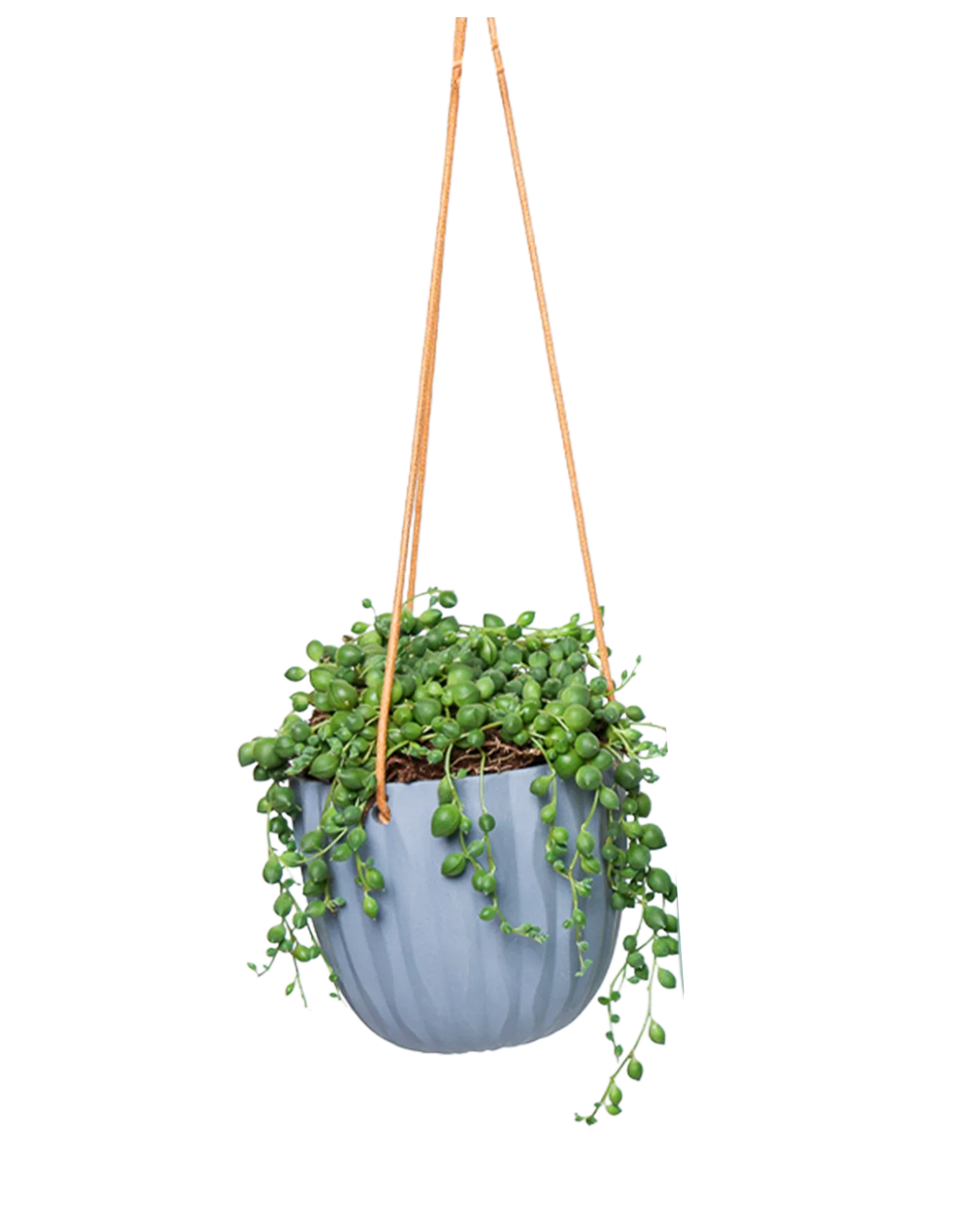 Virago Ceramic Modern Hanging Planter - Image 4