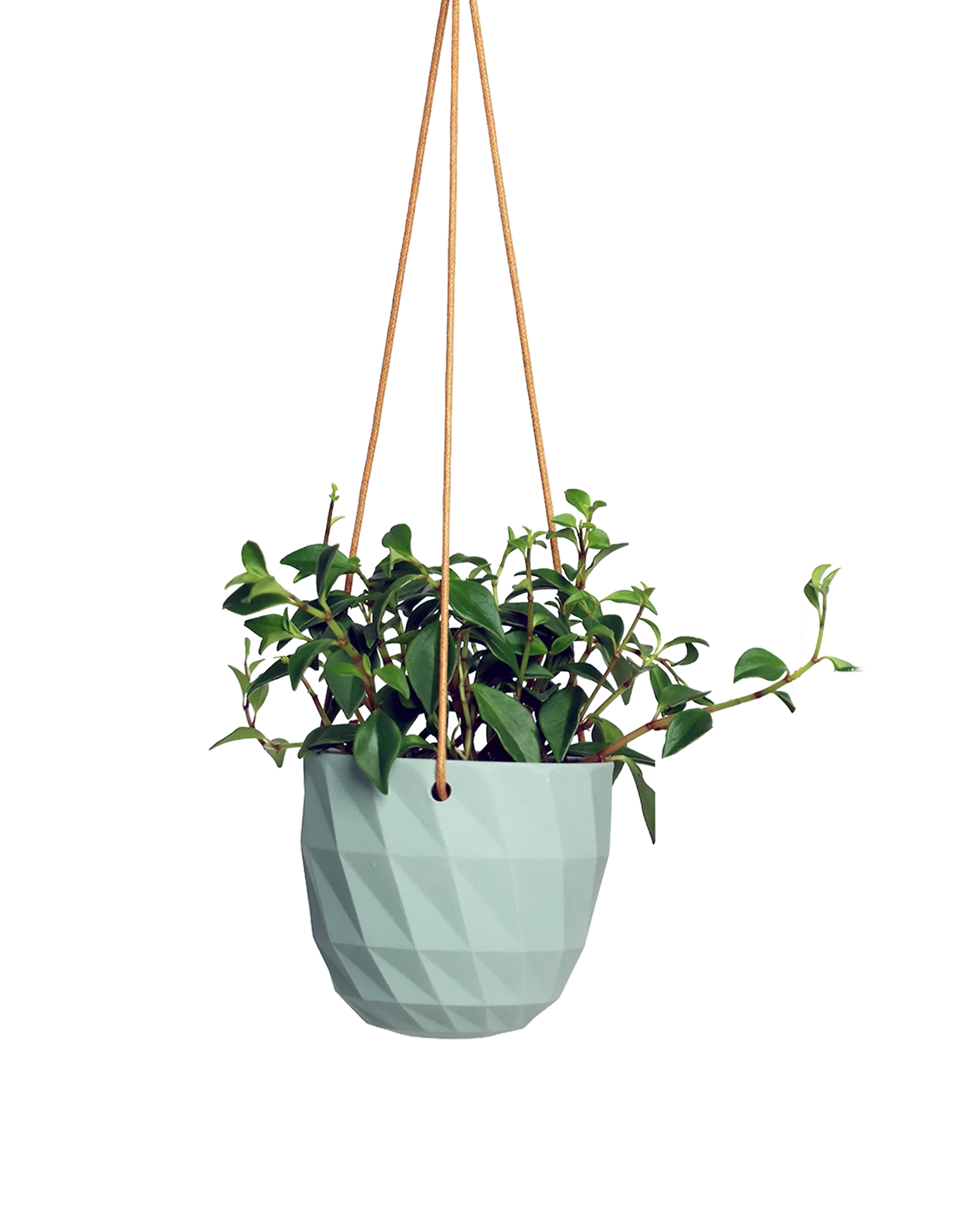 Virago Ceramic Modern Hanging Planter - Image 41