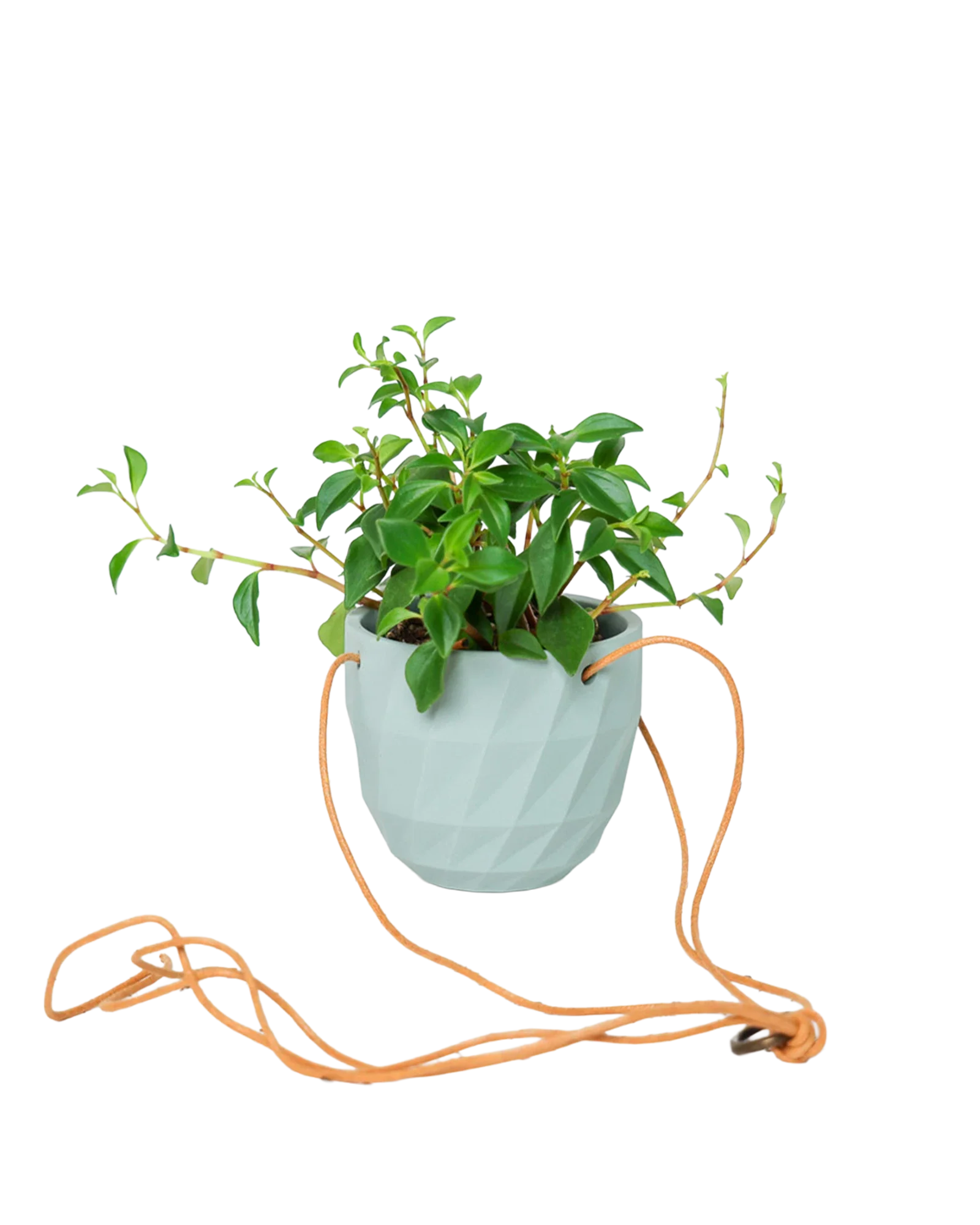 Virago Ceramic Modern Hanging Planter - Image 43