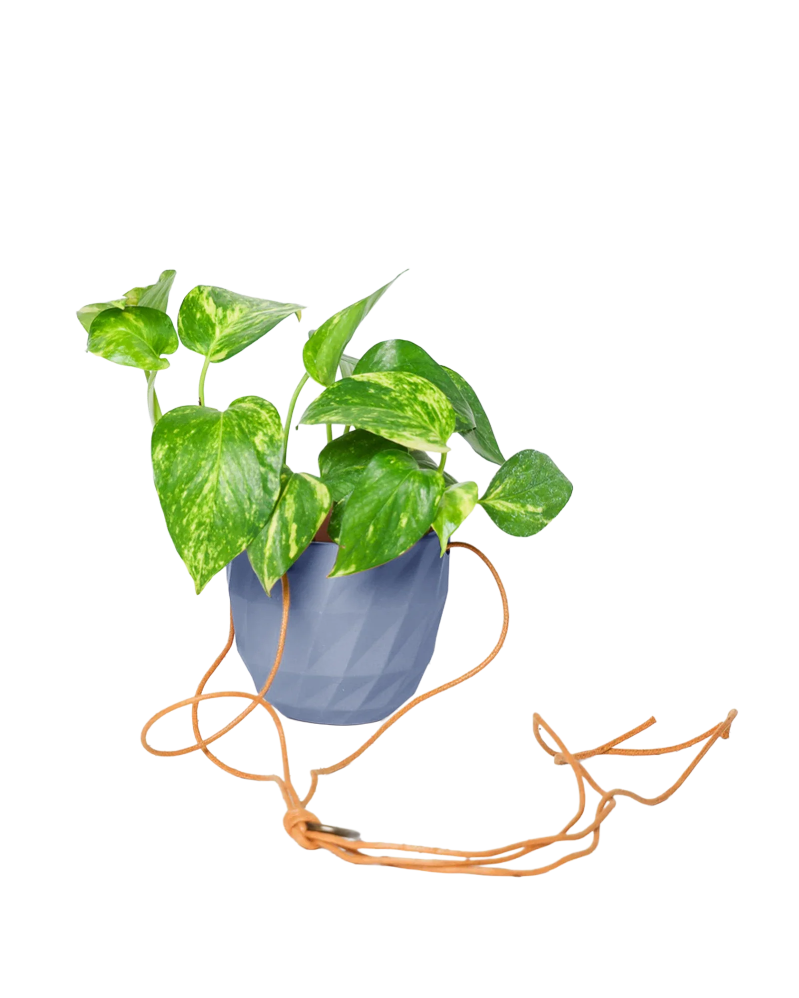 Virago Ceramic Modern Hanging Planter - Image 46