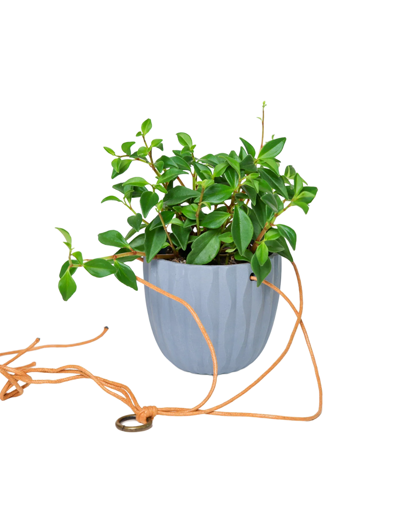 Virago Ceramic Modern Hanging Planter - Image 6