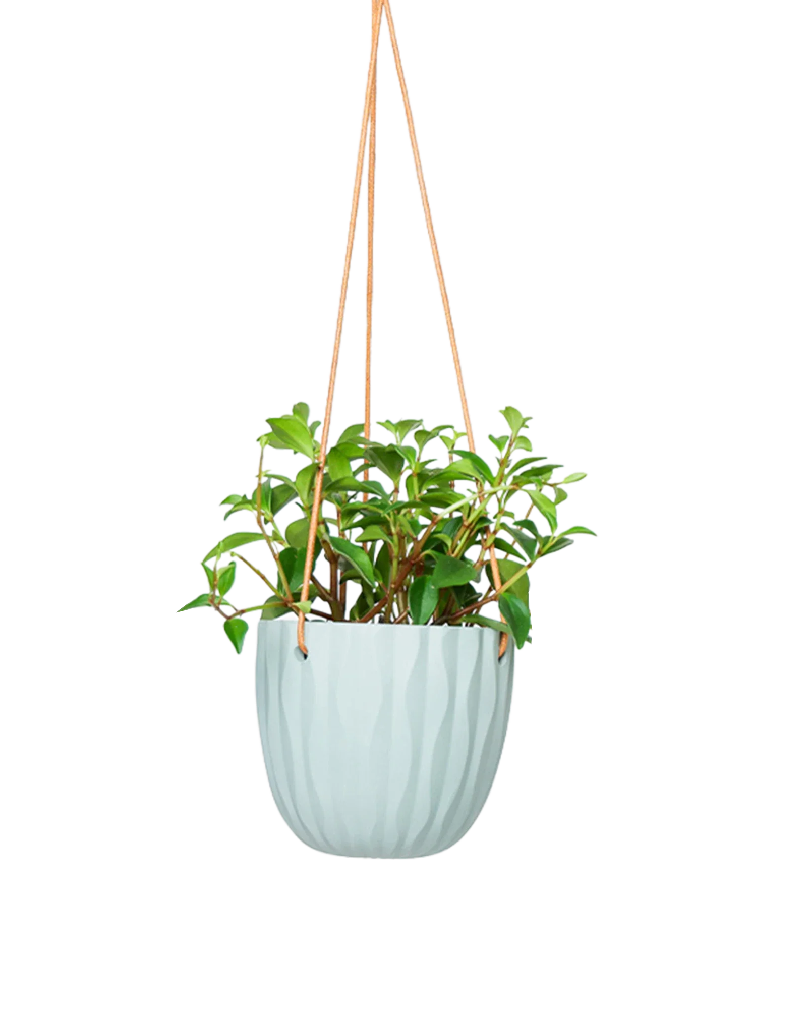 Virago Ceramic Modern Hanging Planter - Image 7