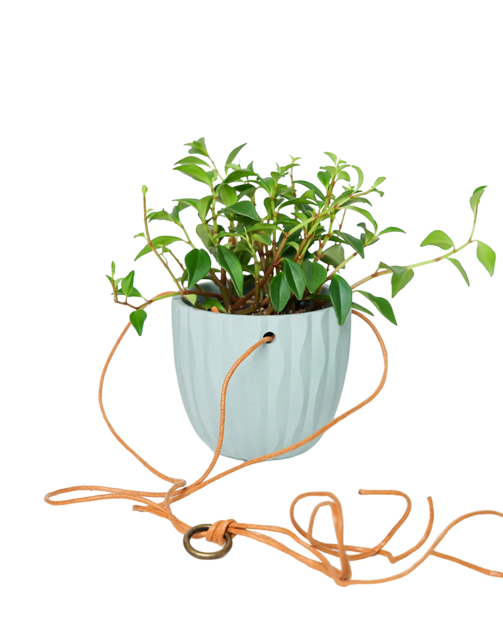 Virago Ceramic Modern Hanging Planter - Image 9