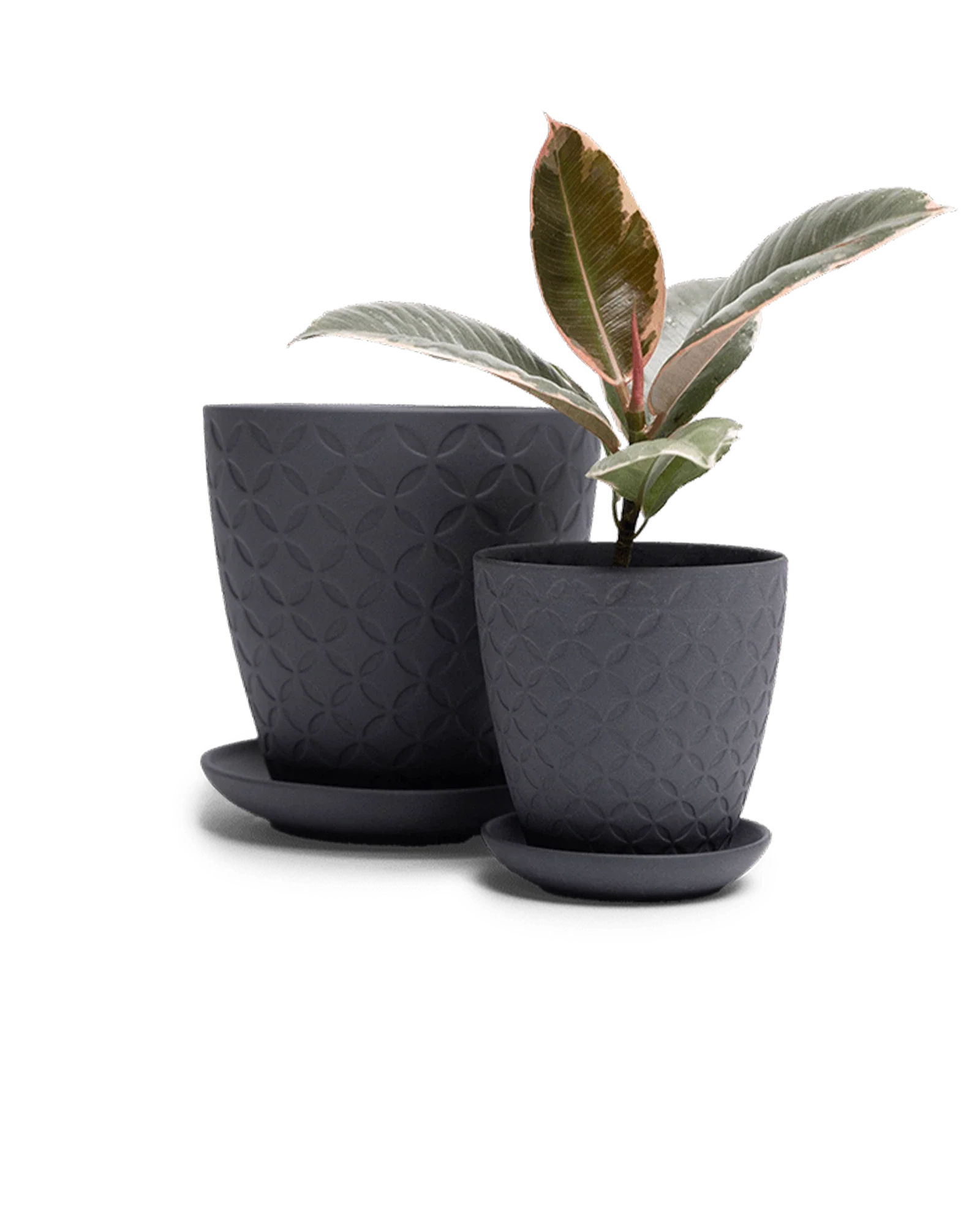 Virago Small 3.5" Porcelain Plant Pot - Image 103