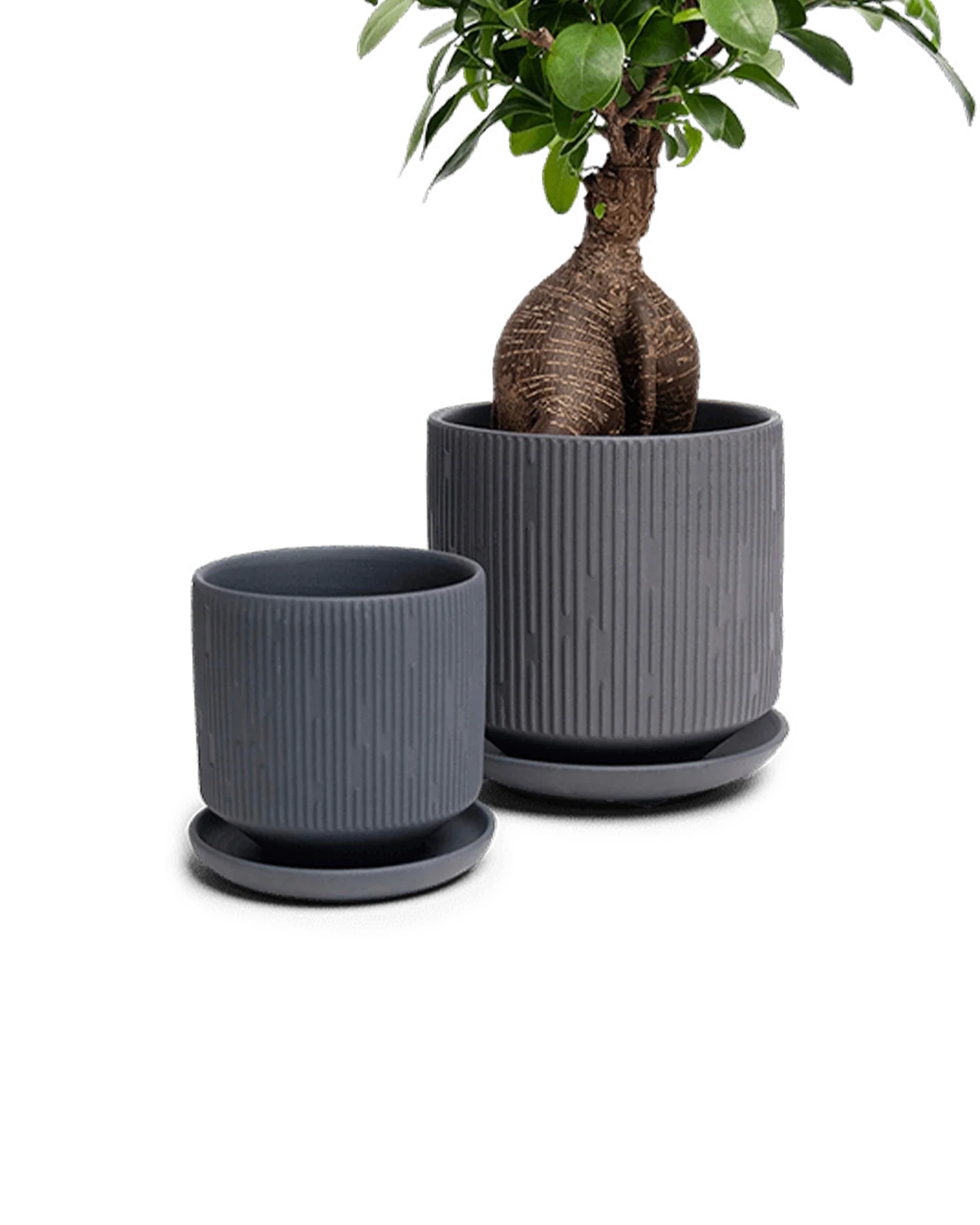 Virago Small 3.5" Porcelain Plant Pot - Image 109