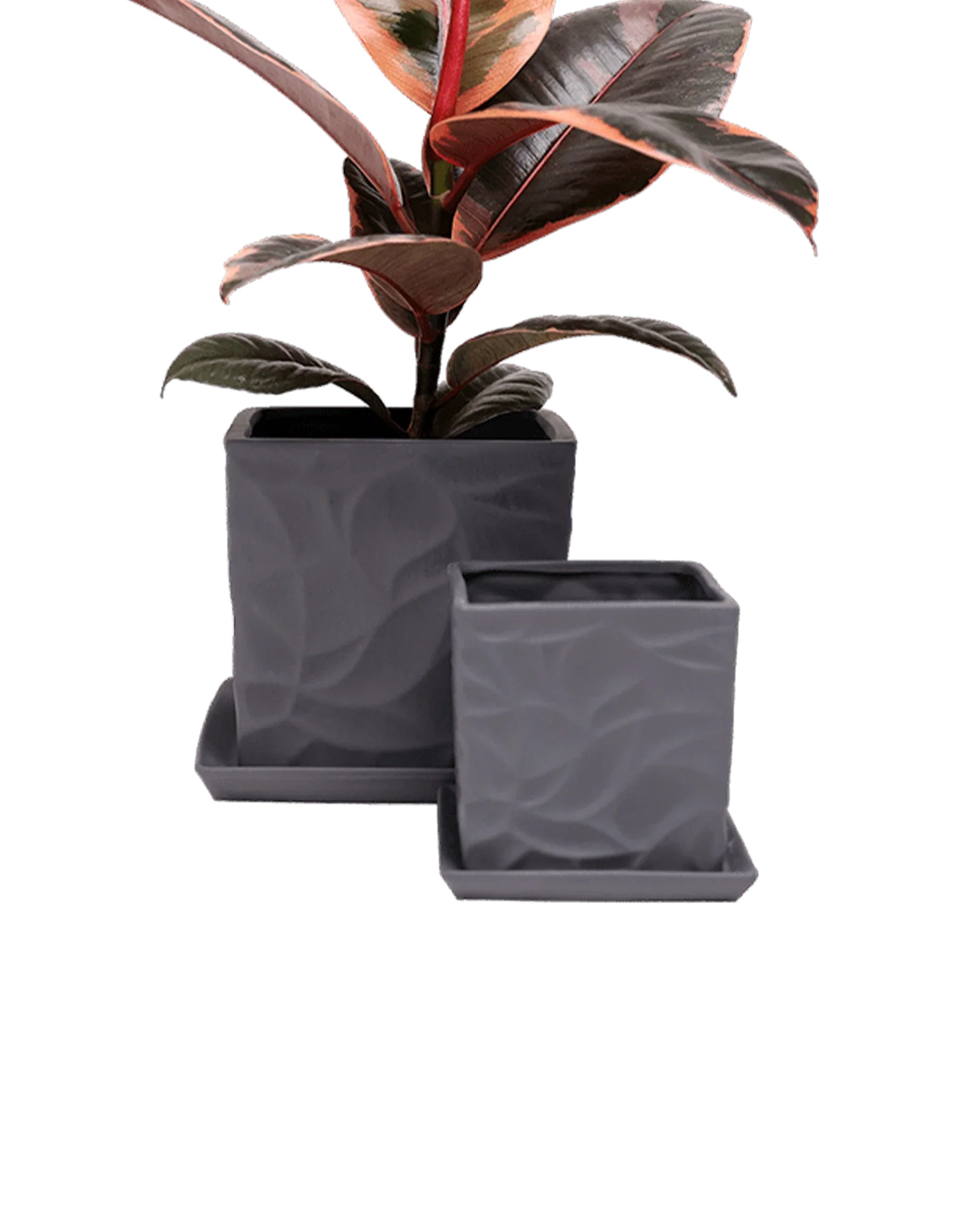 Virago Small 3.5" Porcelain Plant Pot - Image 113