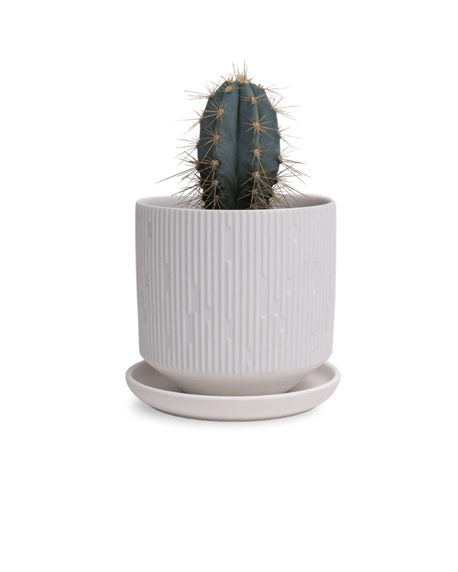 Virago Small 3.5" Porcelain Plant Pot - Image 138