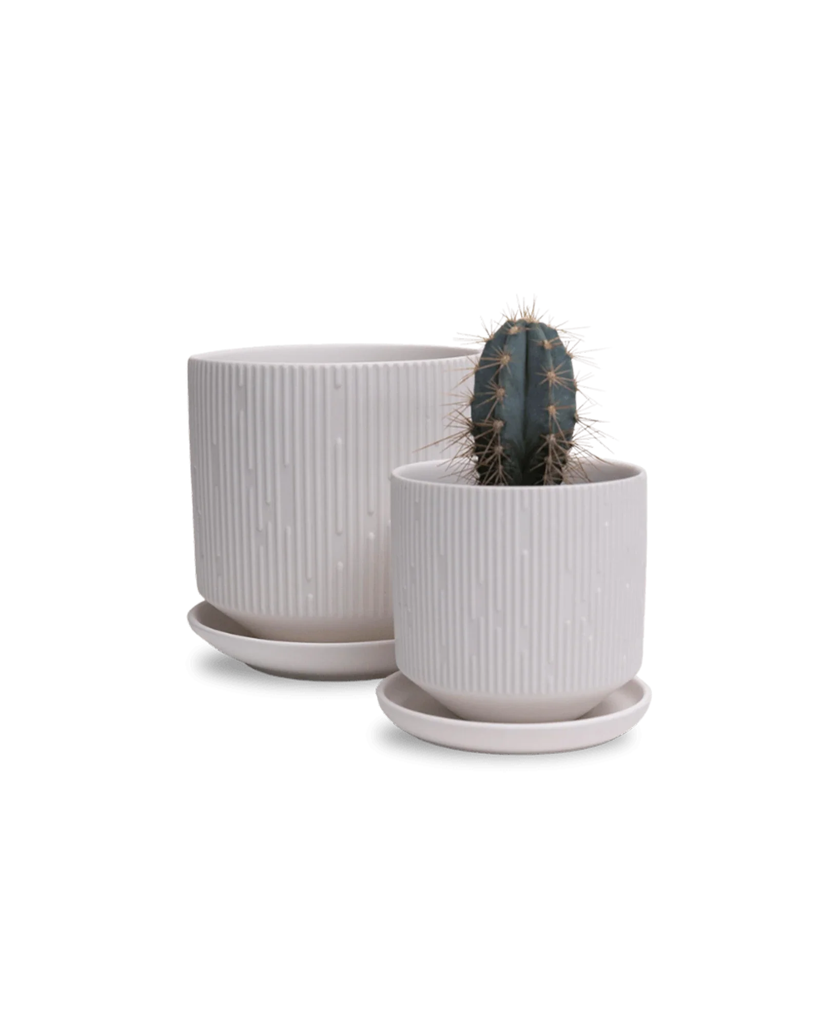 Virago Small 3.5" Porcelain Plant Pot - Image 139