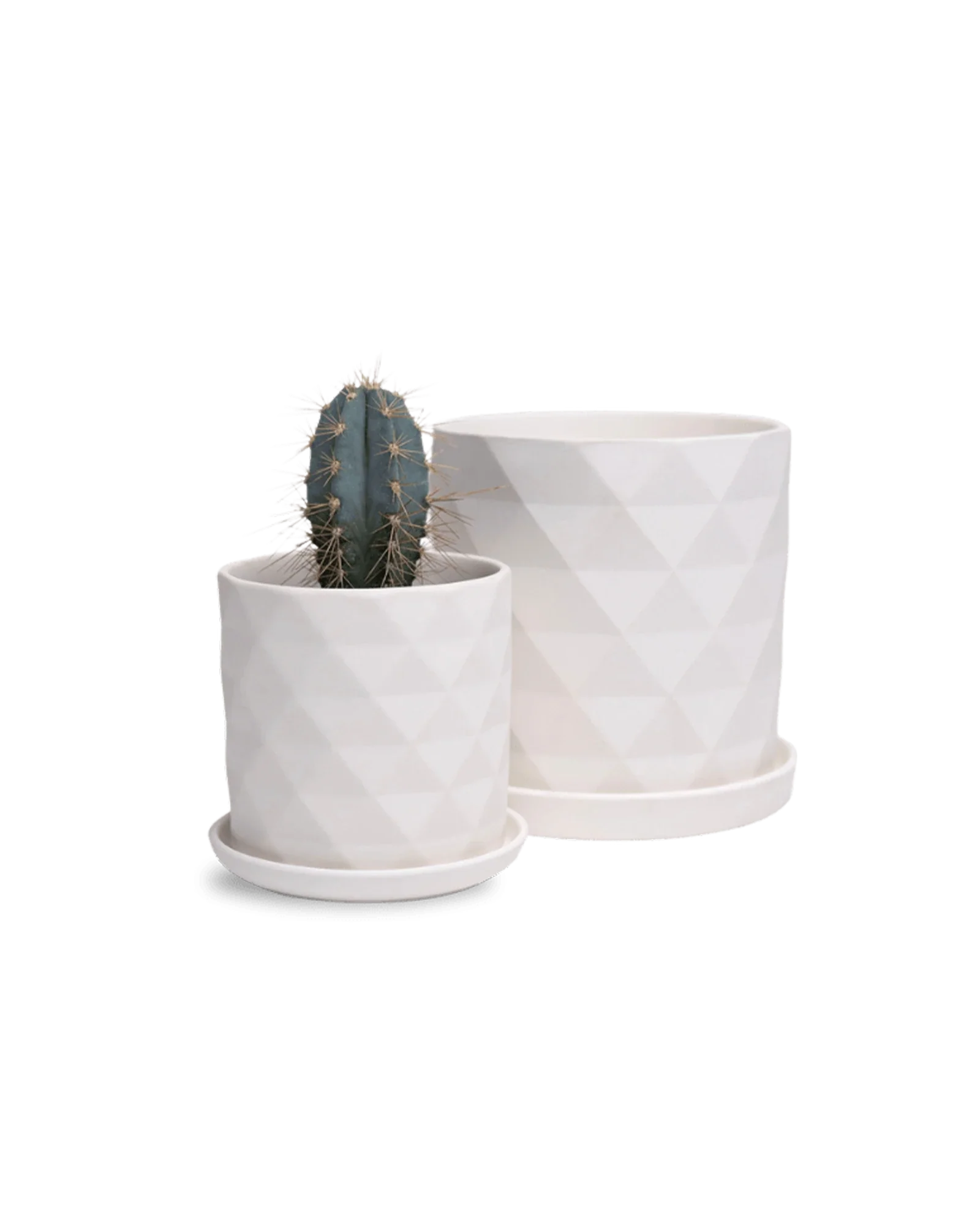 Virago Small 3.5" Porcelain Plant Pot - Image 148