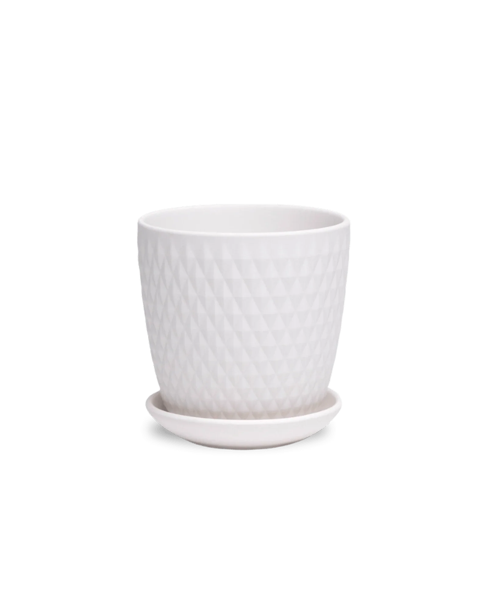 Virago Small 3.5" Porcelain Plant Pot - Image 154