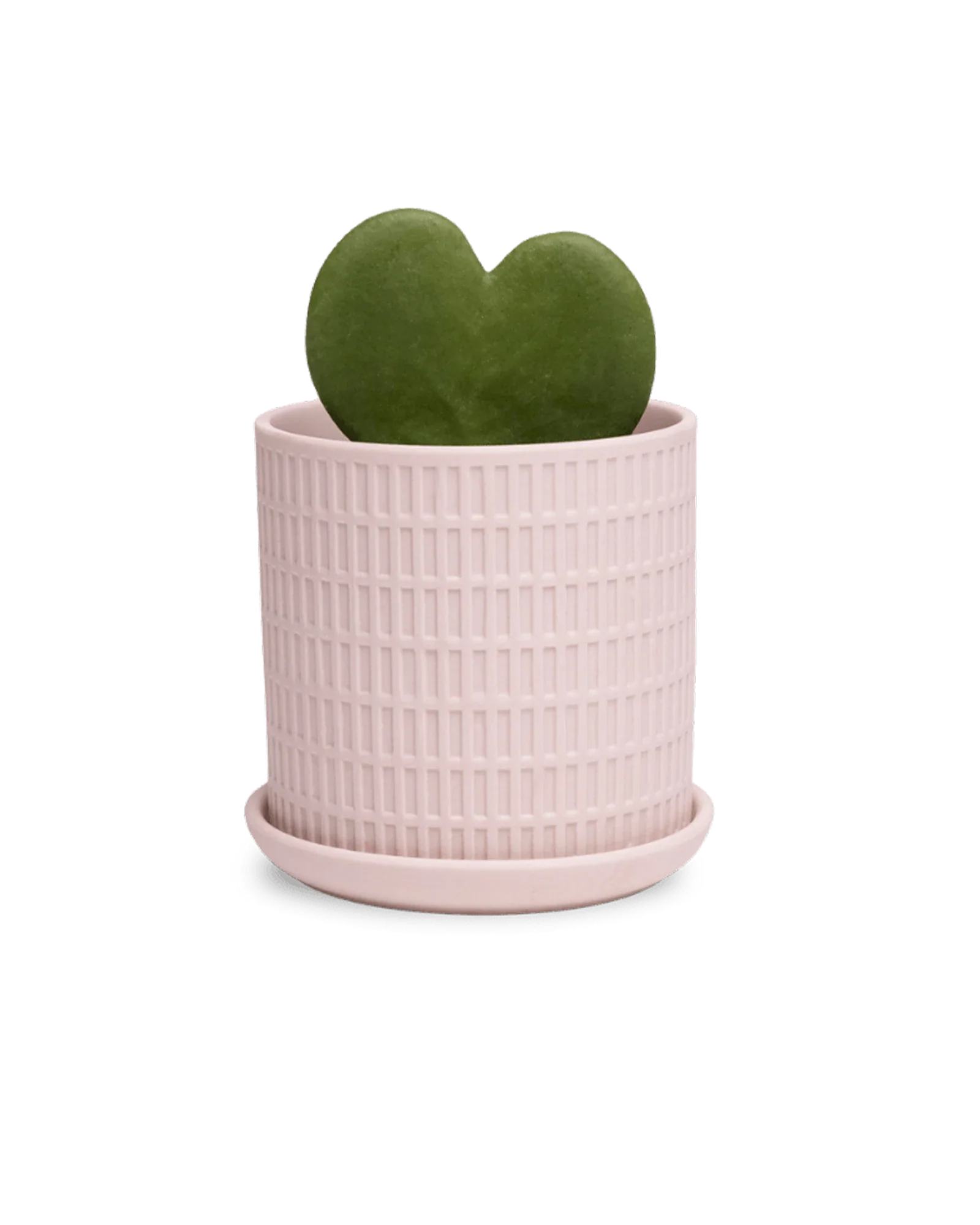 Virago Small 3.5" Porcelain Plant Pot - Image 17