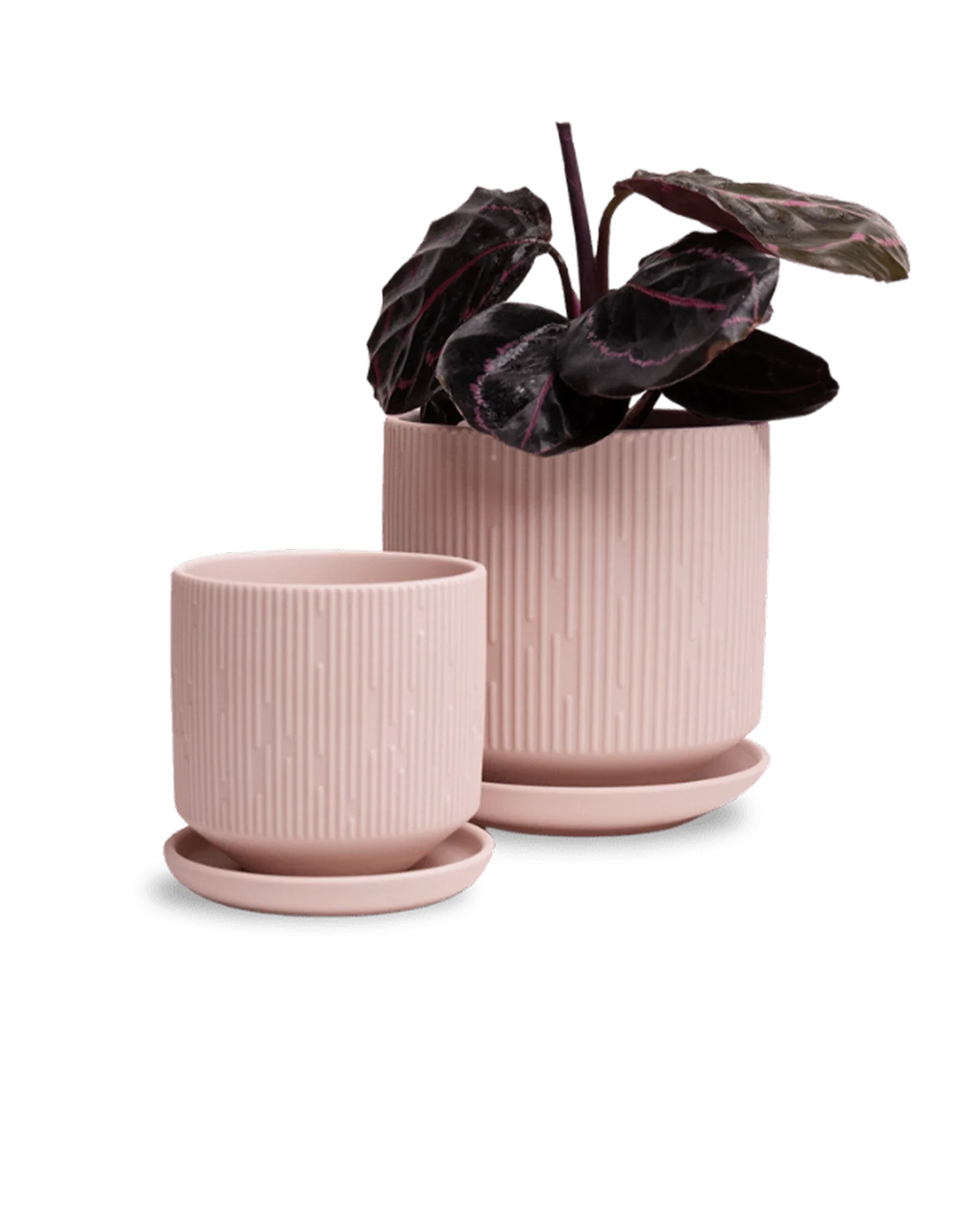 Virago Small 3.5" Porcelain Plant Pot - Image 26