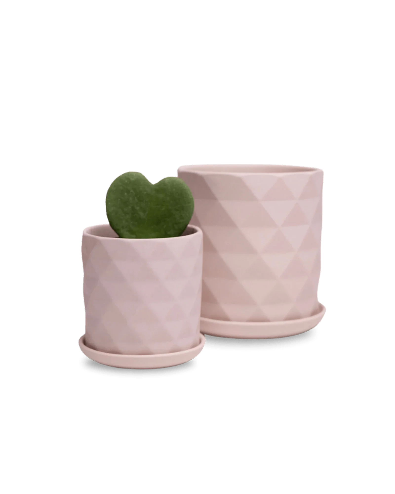 Virago Small 3.5" Porcelain Plant Pot - Image 35
