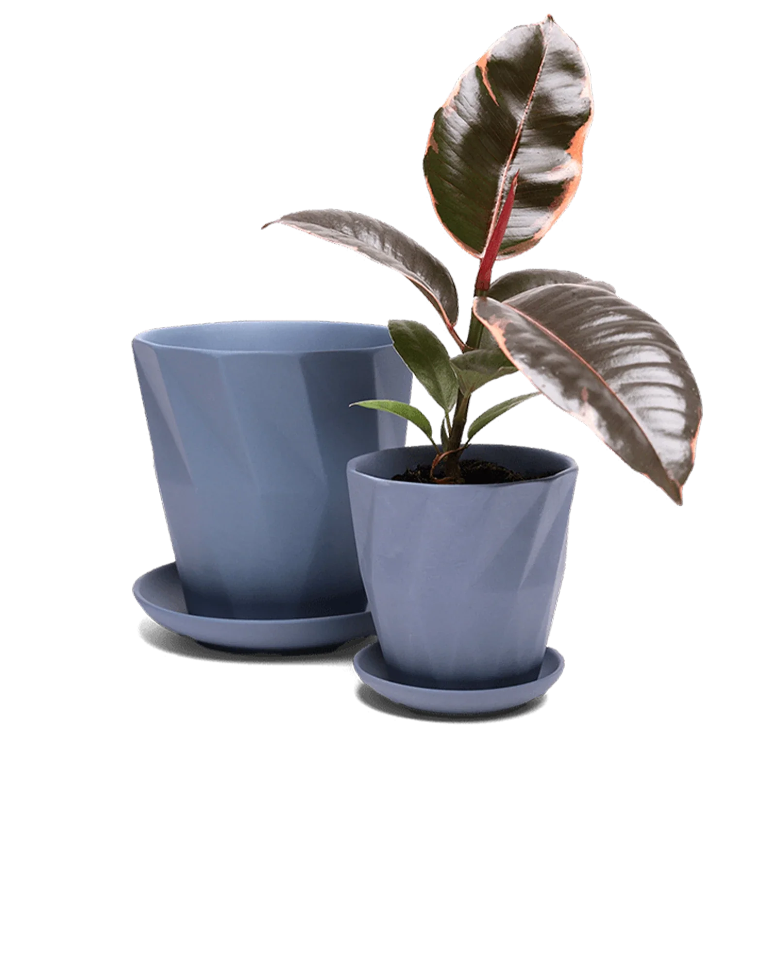Virago Small 3.5" Porcelain Plant Pot - Image 78