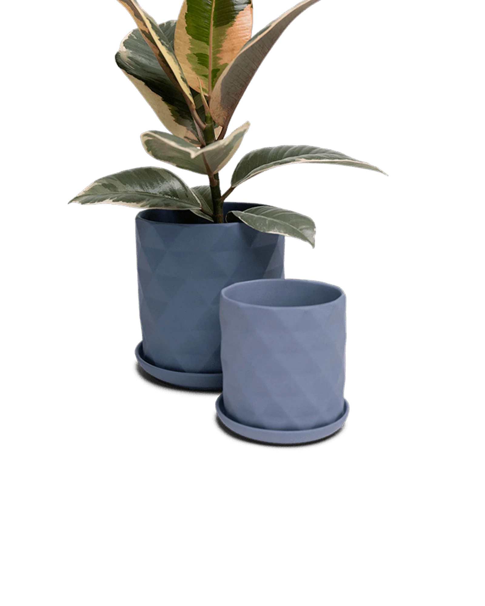 Virago Small 3.5" Porcelain Plant Pot - Image 79