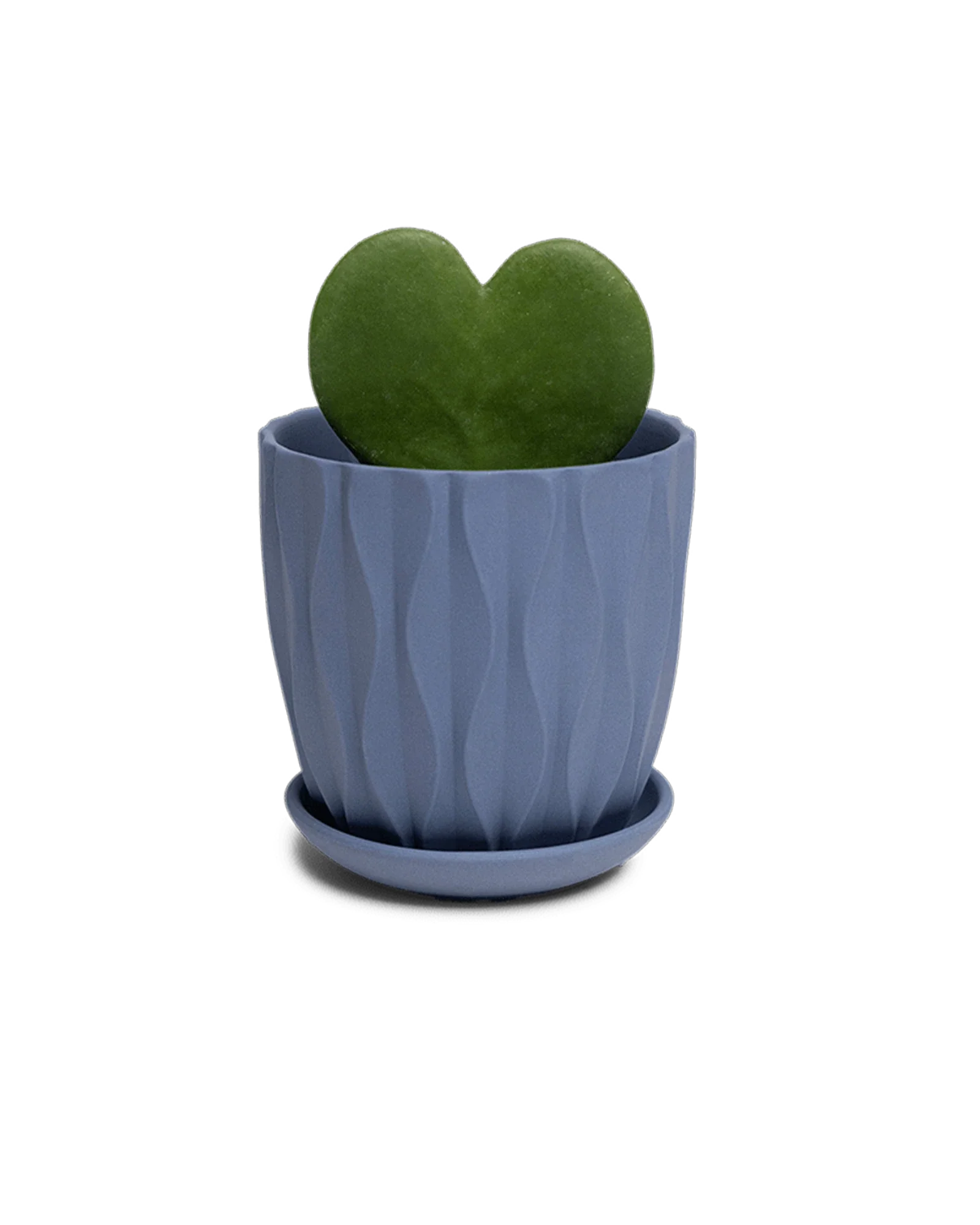 Virago Small 3.5" Porcelain Plant Pot - Image 83