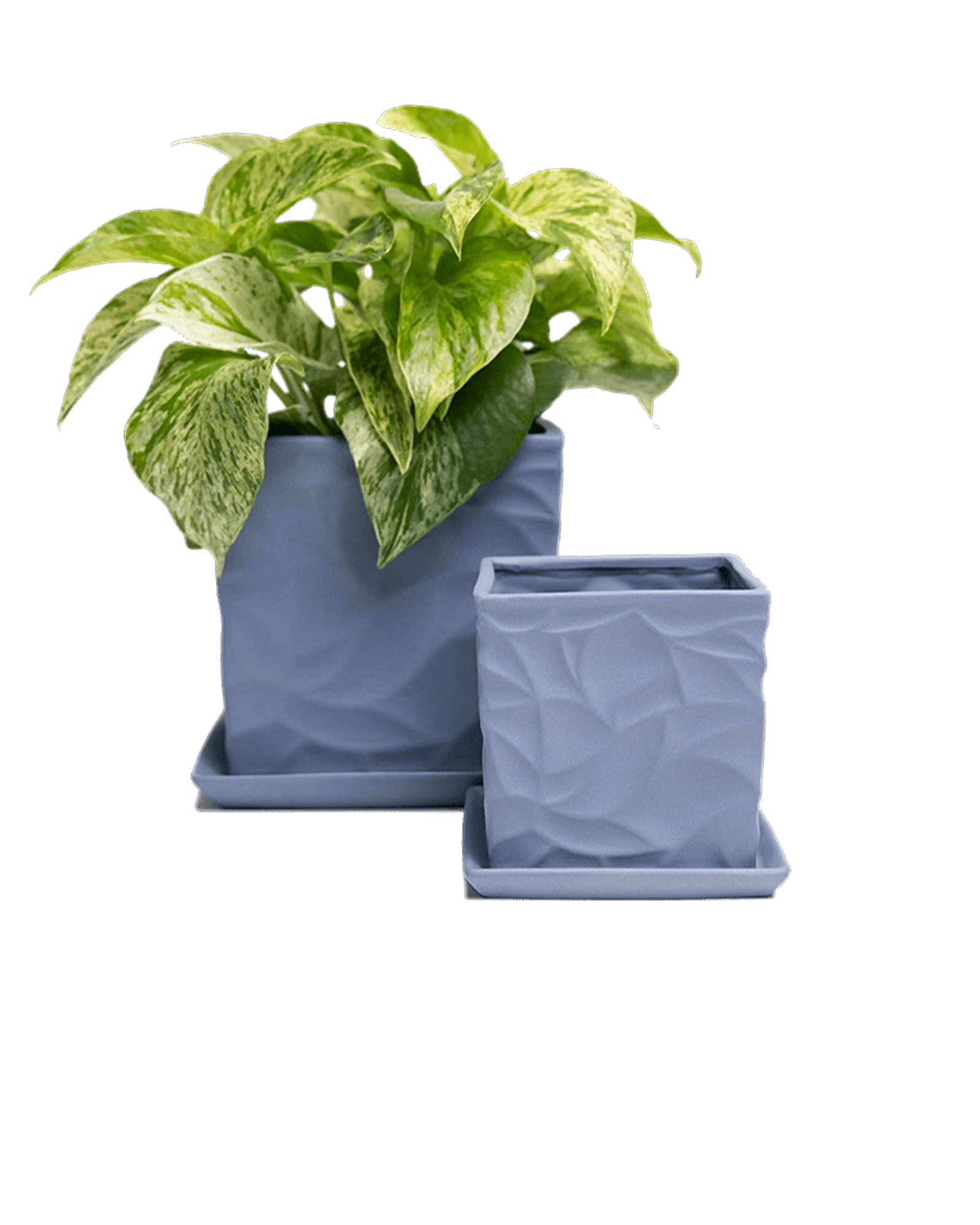 Virago Small 3.5" Porcelain Plant Pot - Image 86