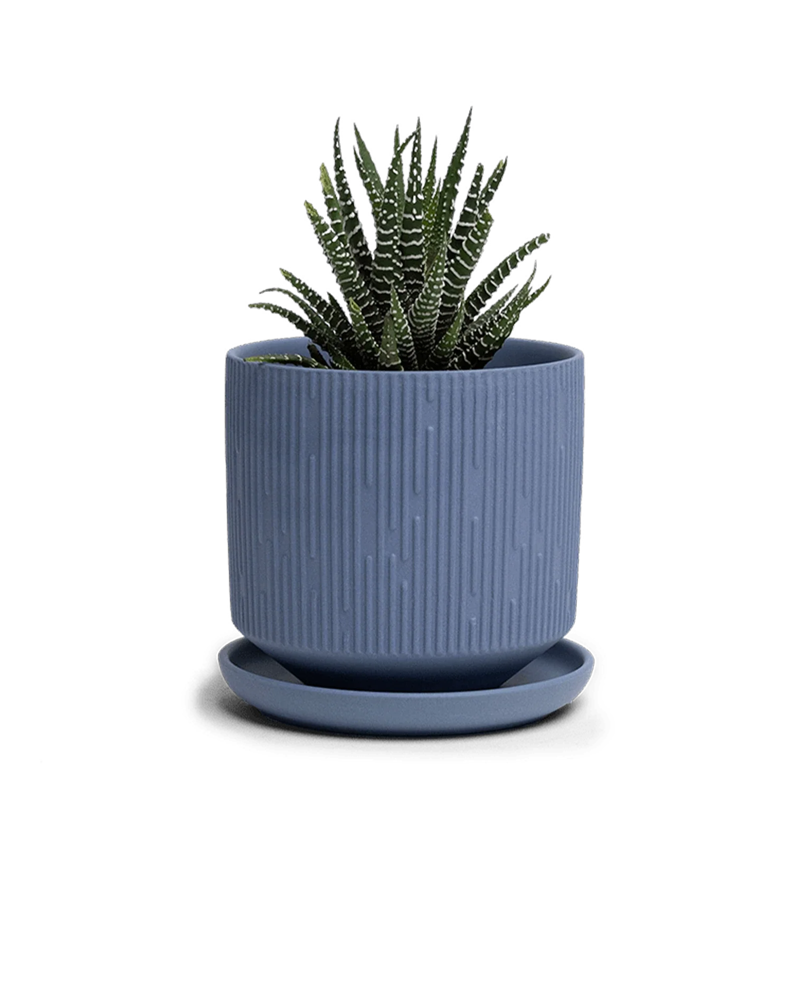 Virago Small 3.5" Porcelain Plant Pot - Image 92