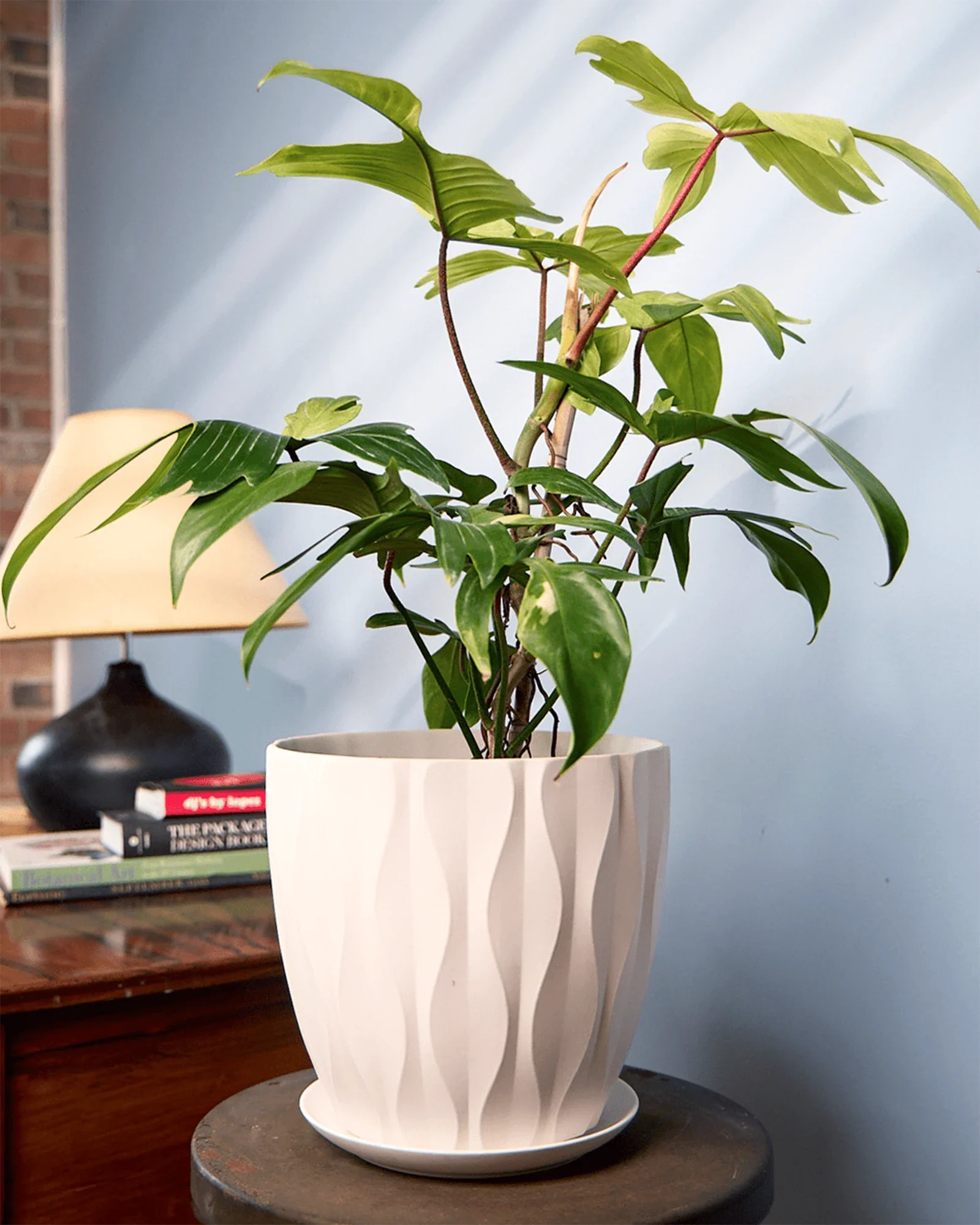 Virago Large Porcelain Plant Pot - Image 15
