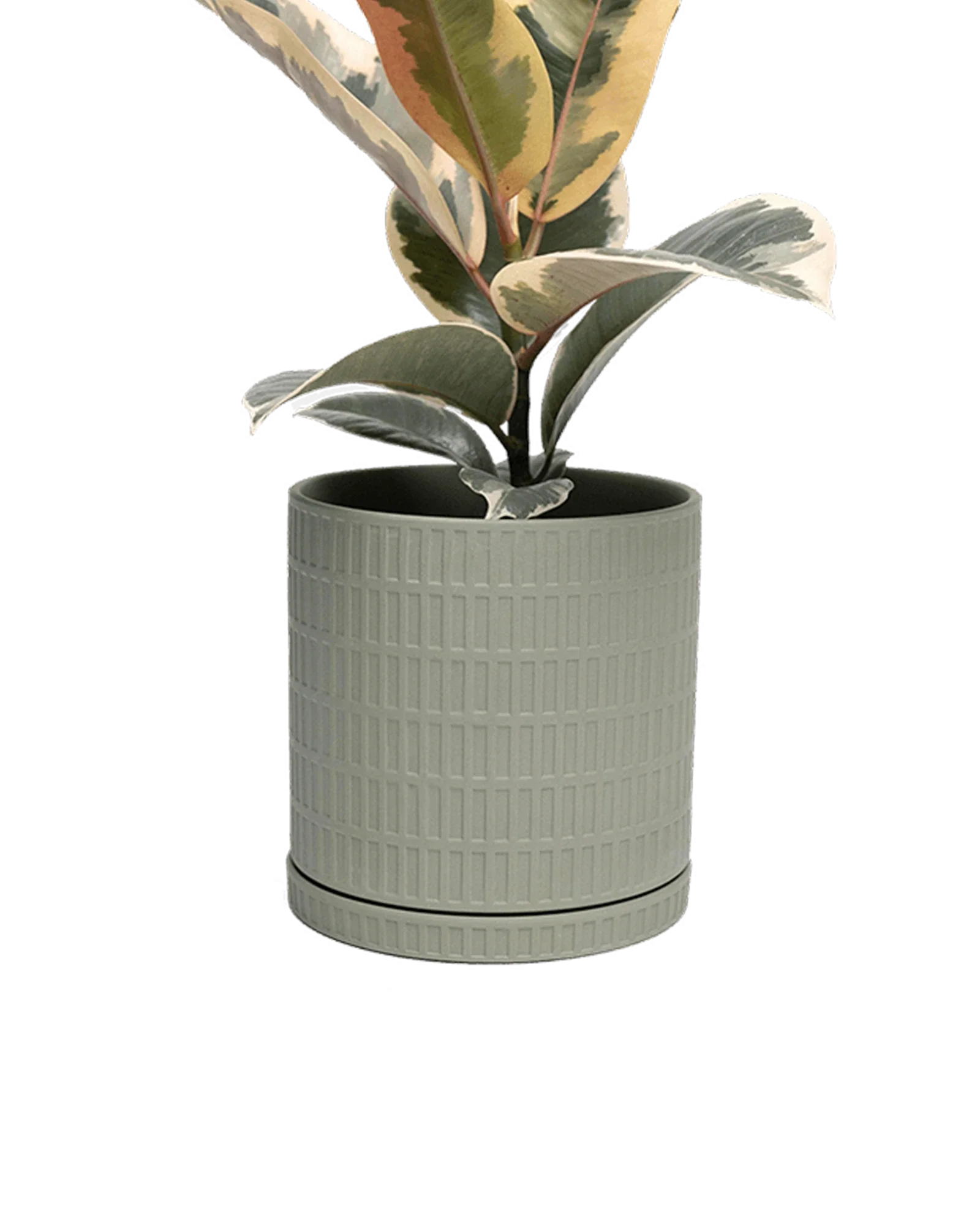 Virago Large Porcelain Plant Pot - Image 20
