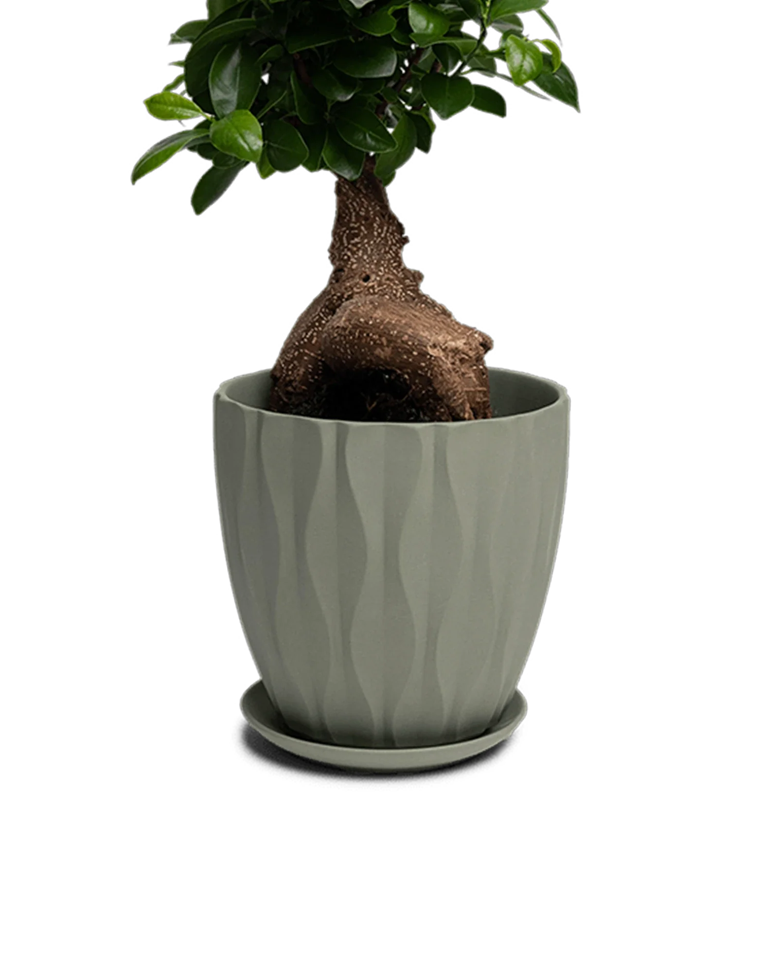 Virago Large Porcelain Plant Pot - Image 22