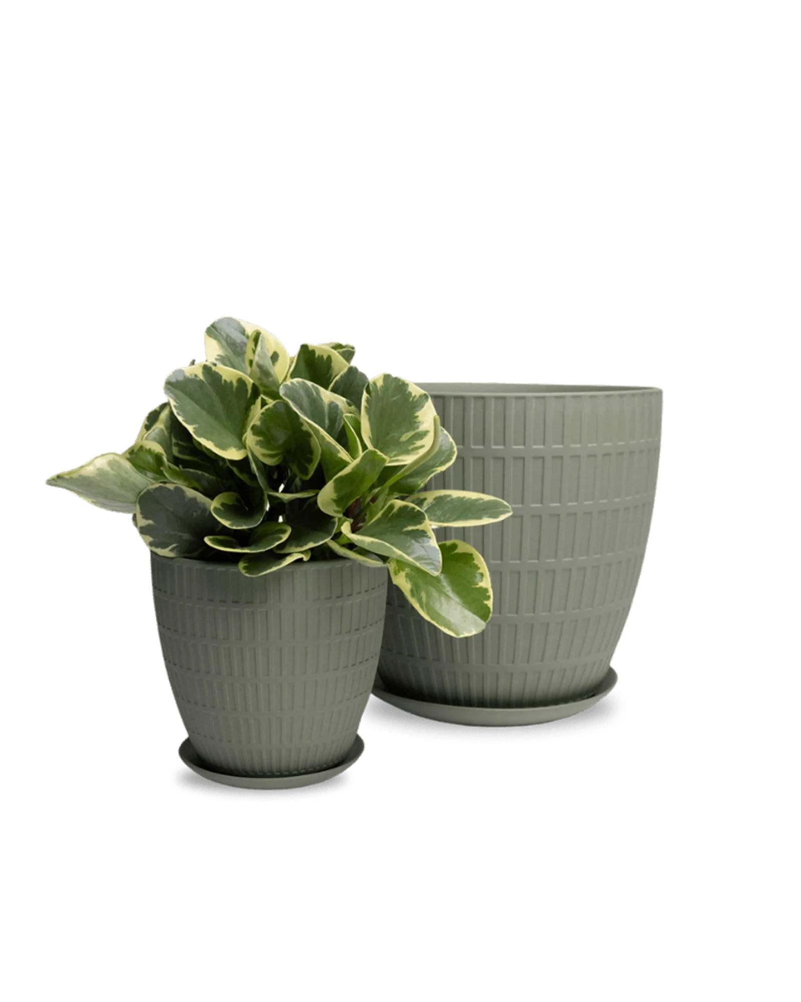 Virago Large Porcelain Plant Pot - Image 26