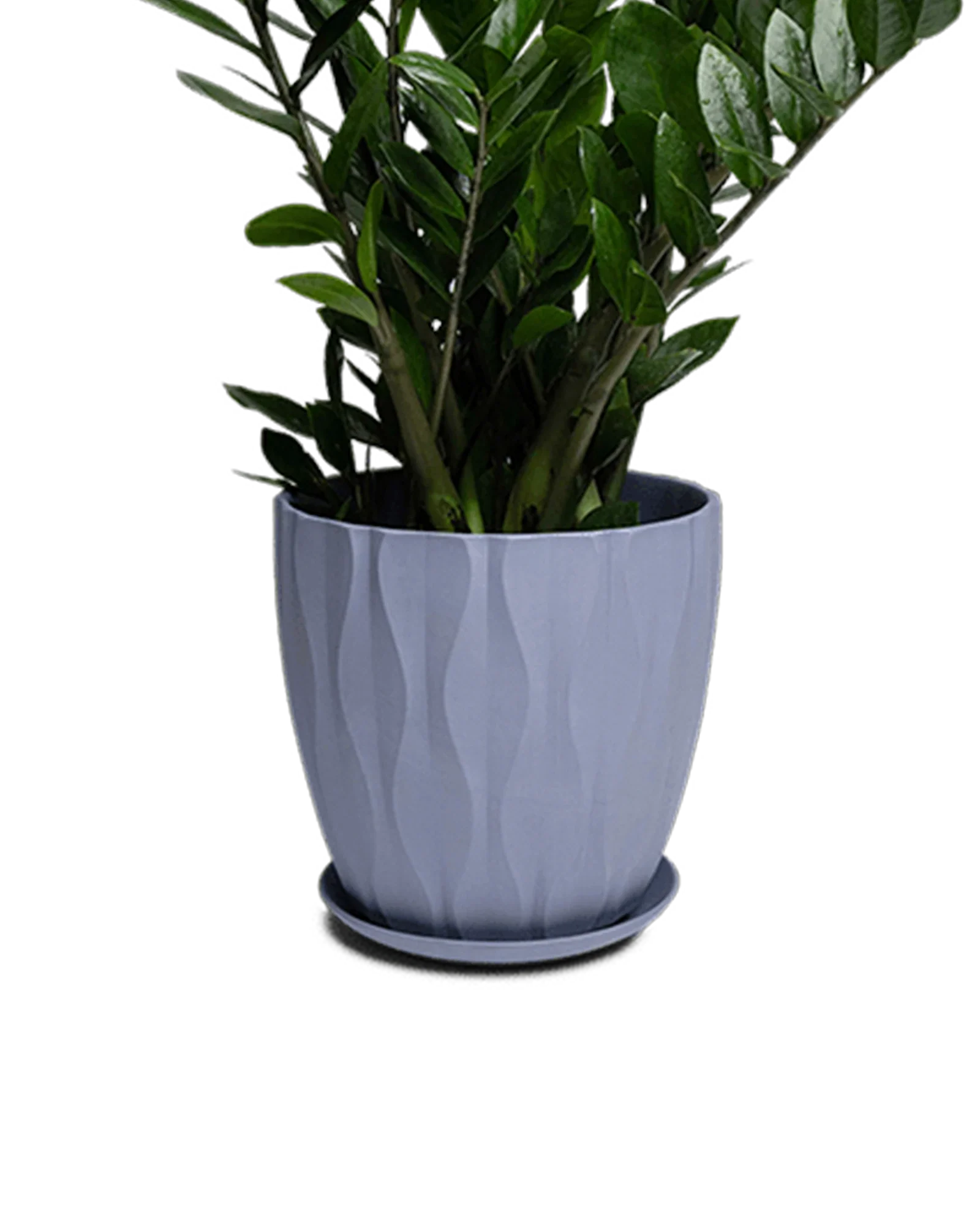 Virago Large Porcelain Plant Pot - Image 30