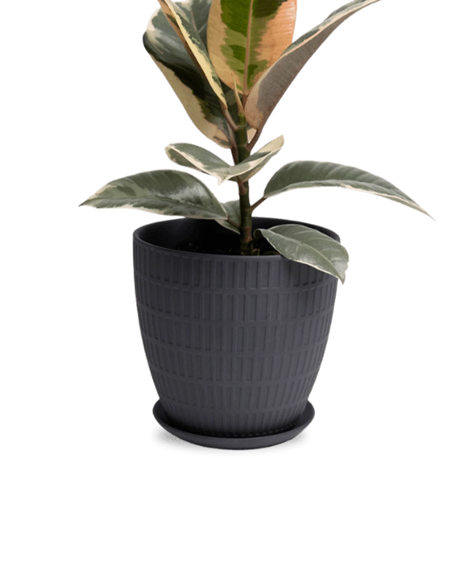 Virago Large Porcelain Plant Pot - Image 37