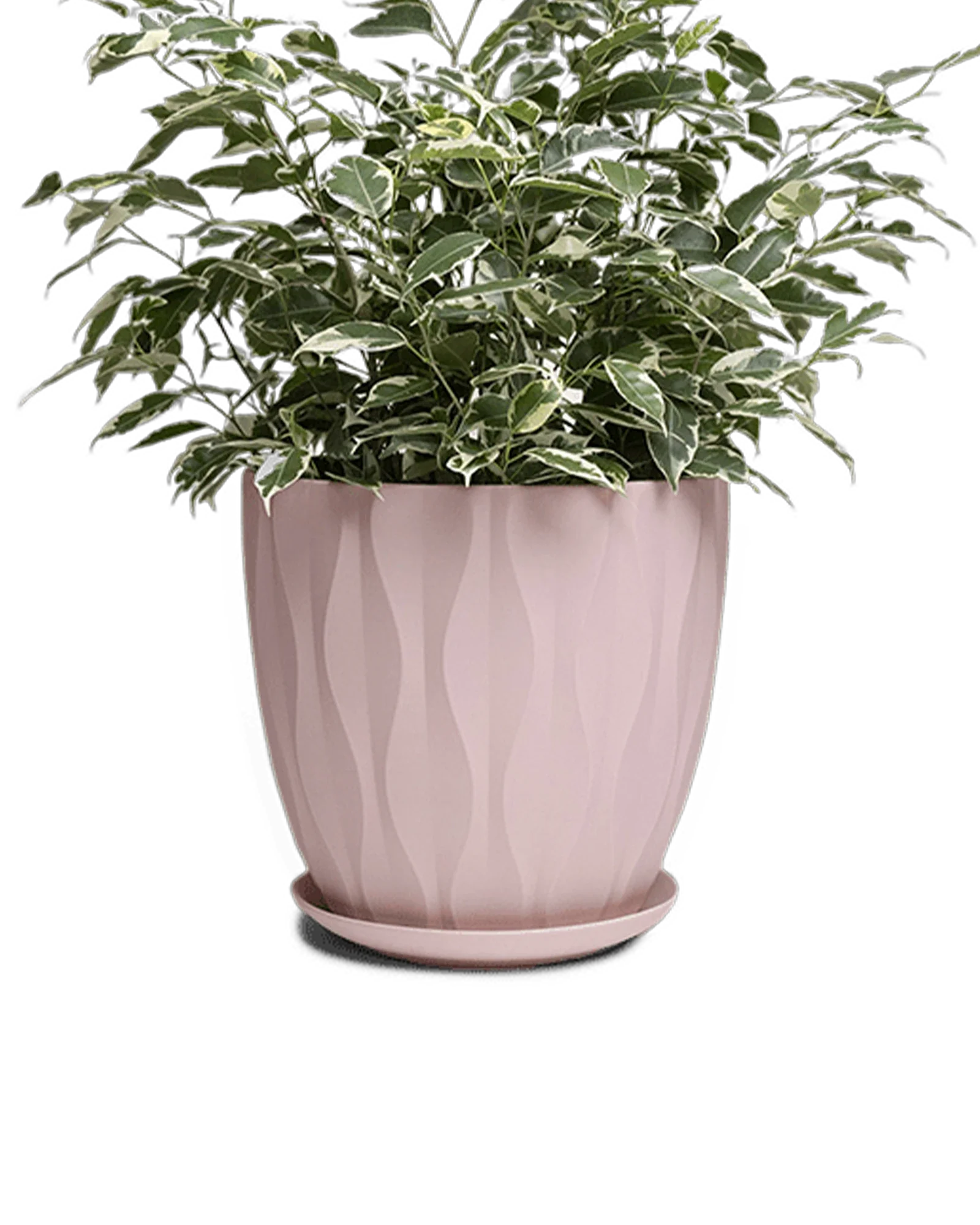 Virago Large Porcelain Plant Pot - Image 5