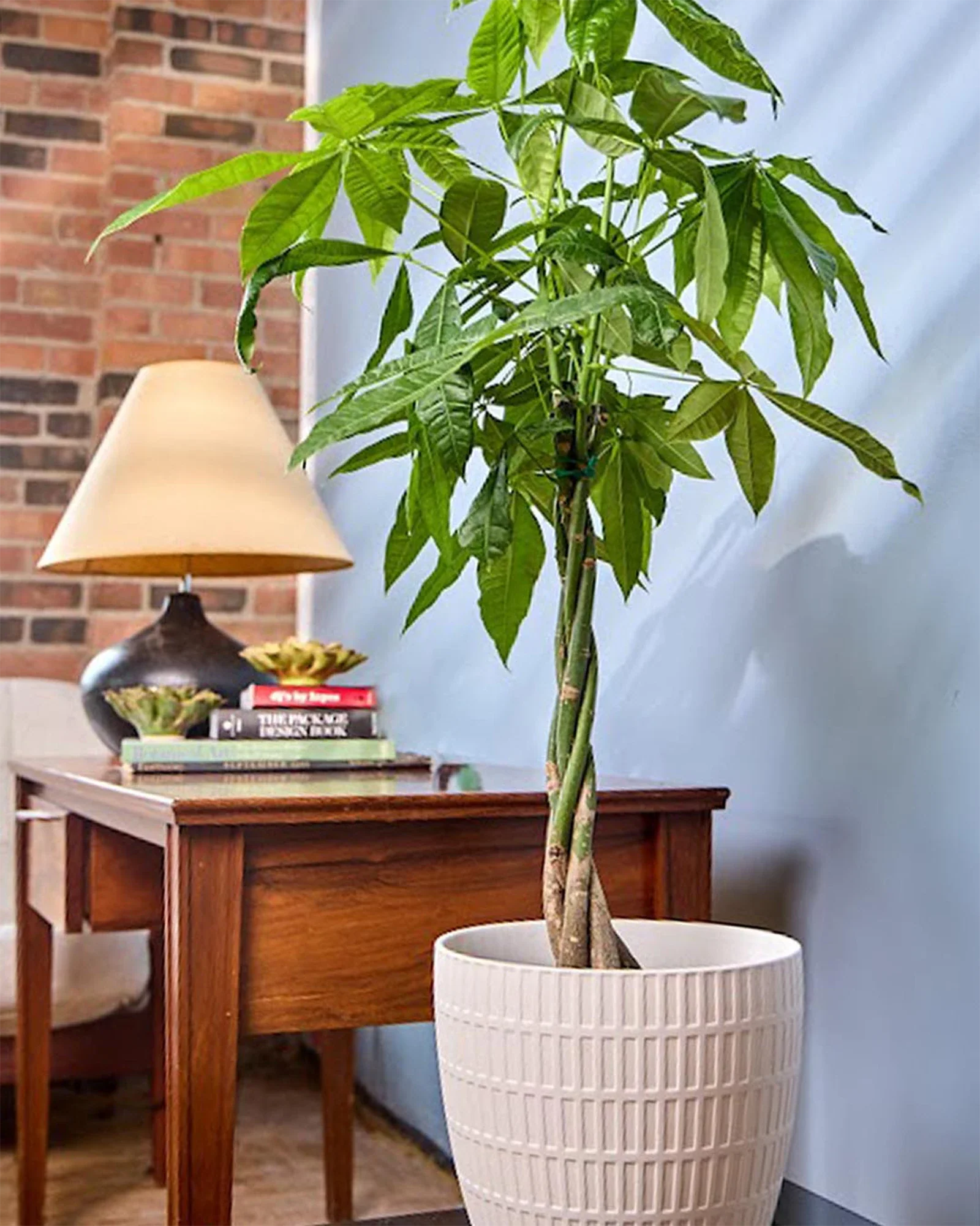 Virago Large Porcelain Plant Pot - Image 6