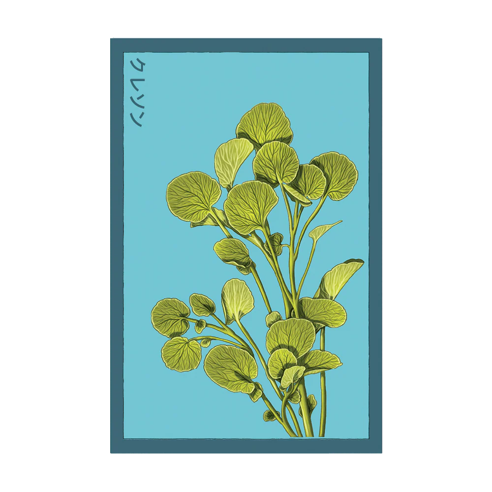 Watercress Vegetable Seeds Packet