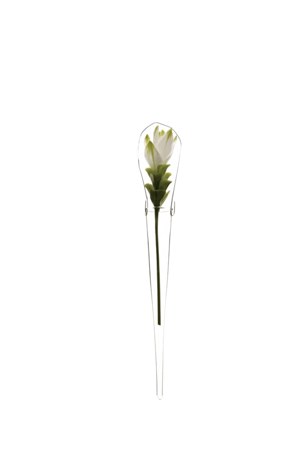 Window Cone Glass Modern Clear Flower Vase
