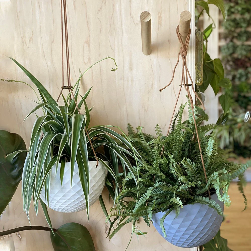 Wood Wall Hook For Planters - Image 2
