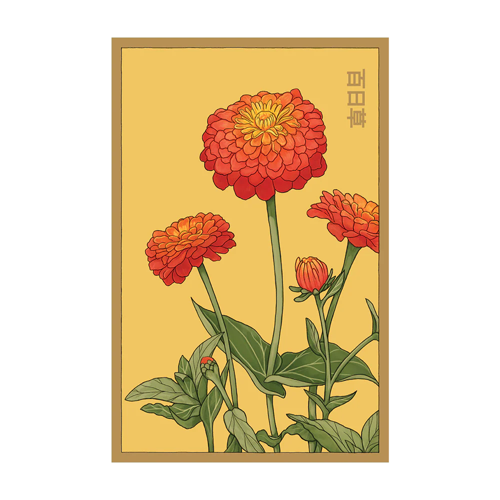 Zinnia Flower Seeds Packet